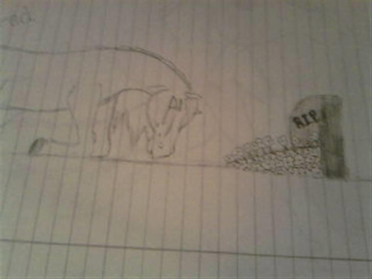 Manduzz(Min veninde)'s tegninger. billede 18