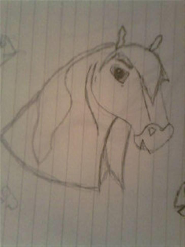 Manduzz(Min veninde)'s tegninger. billede 19