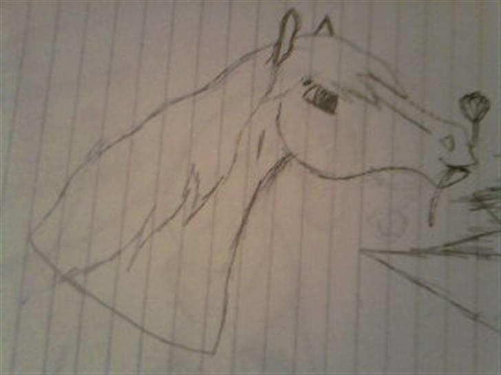 Manduzz(Min veninde)'s tegninger. billede 21