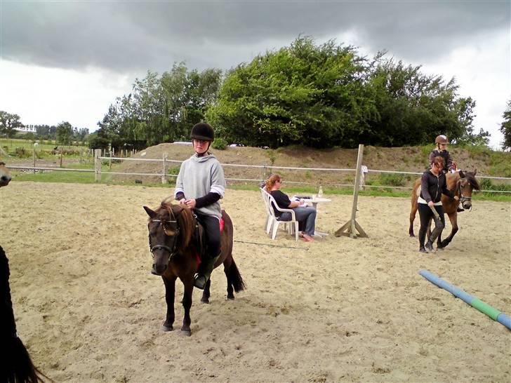 Skævninge ponyrideskole billede 1