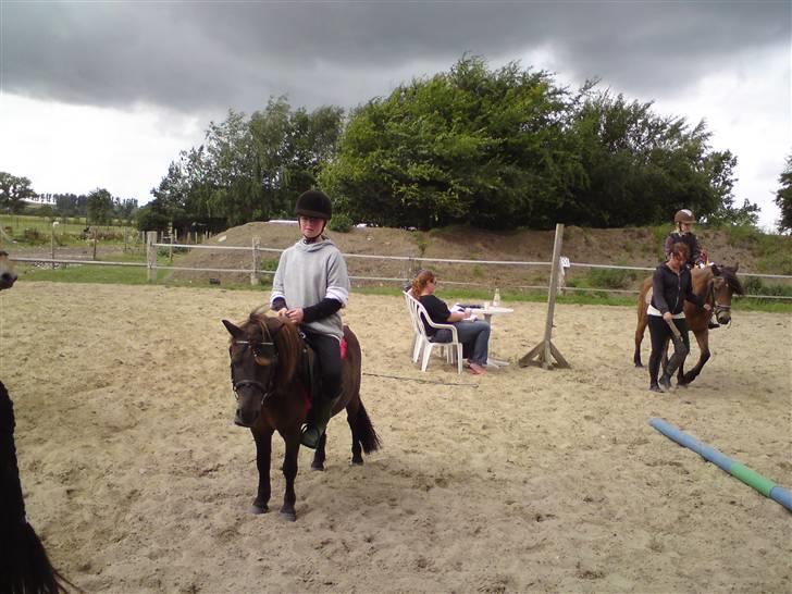 Skævninge ponyrideskole billede 2