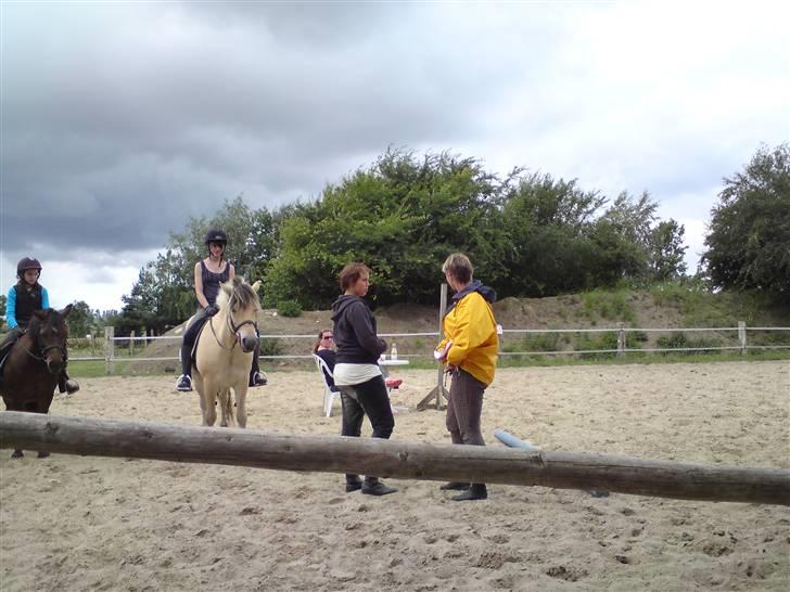 Skævninge ponyrideskole billede 4