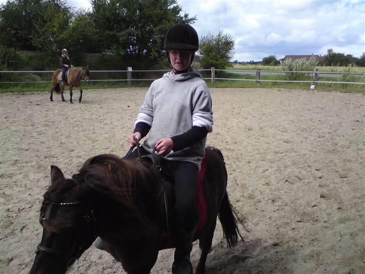 Skævninge ponyrideskole billede 5