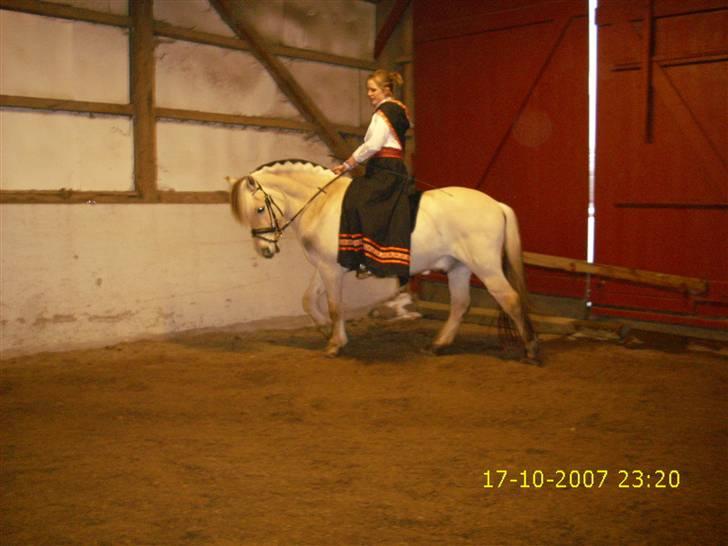 I norsk folkedragt... billede 3