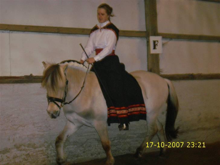 I norsk folkedragt... billede 4