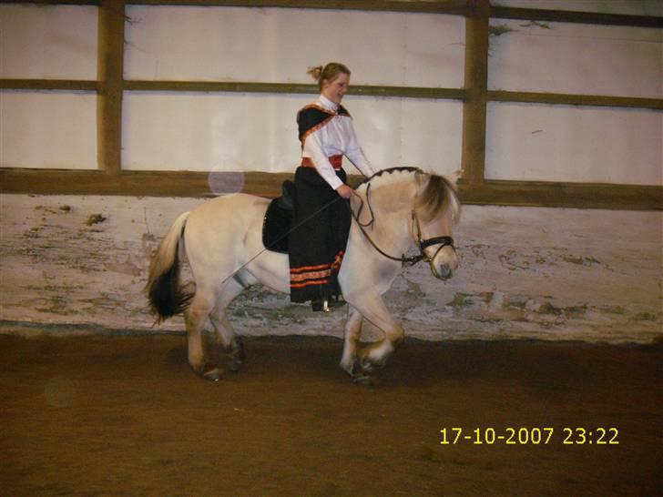 I norsk folkedragt... billede 6