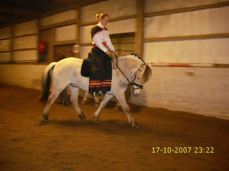 I norsk folkedragt... billede 7