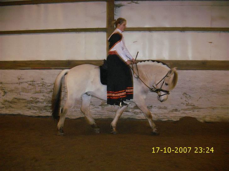 I norsk folkedragt... billede 9