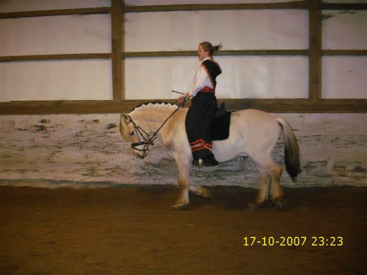 I norsk folkedragt... billede 11