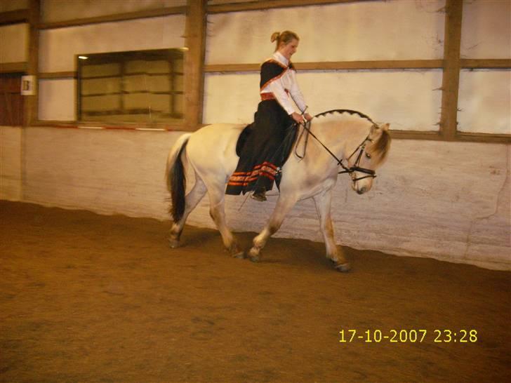 I norsk folkedragt... billede 16