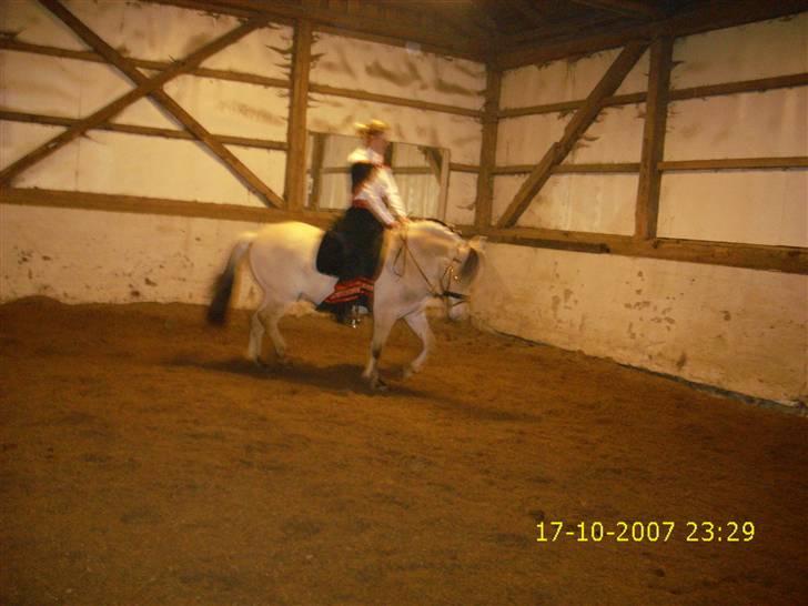 I norsk folkedragt... billede 18