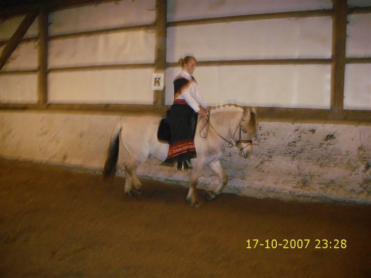 I norsk folkedragt... billede 20