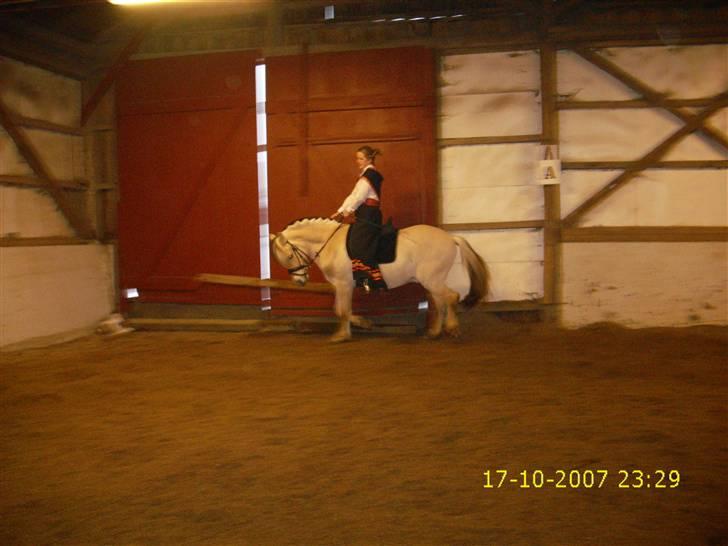 I norsk folkedragt... billede 28