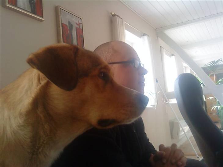 {{currentPhoto.altText}} billede {{currentPhoto.number}}