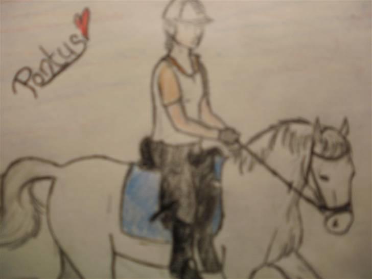 © Mine tegninger :) - Her er den fine blandingsvallak, Pontus, ejet af Amanda, som herinde (pt) hedder "Dressur rytter! *Amandarin* Elsker sin Pontus;*<3"
Link: http://www.hestegalleri.dk/html/gal_visbil.asp?ID=99955 billede 75