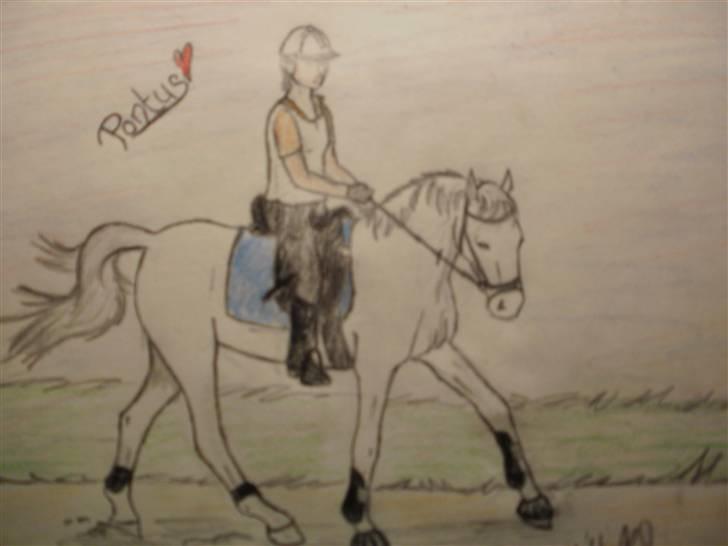 © Mine tegninger :) - Her er den fine blandingsvallak, Pontus, ejet af Amanda, som herinde (pt) hedder "Dressur rytter! *Amandarin* Elsker sin Pontus;*<3"
Link: http://www.hestegalleri.dk/html/gal_visbil.asp?ID=99955 billede 77