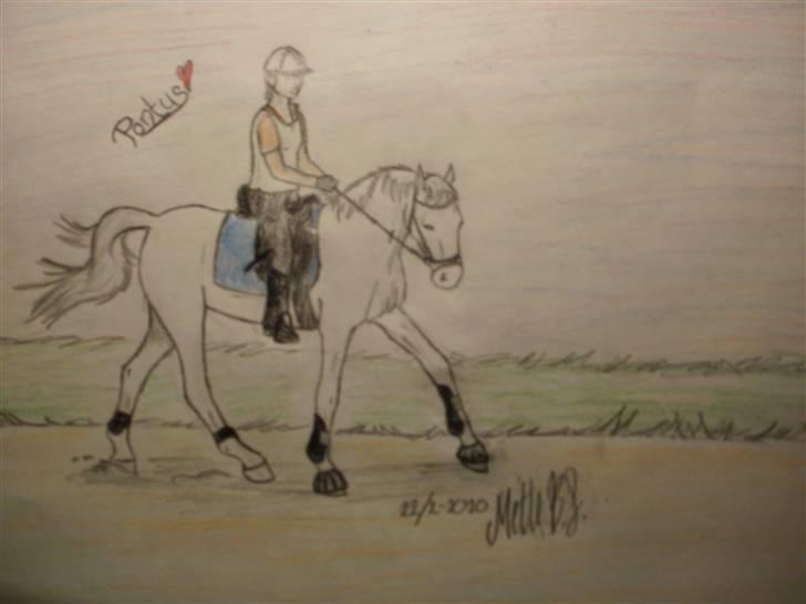 © Mine tegninger :) - Her er den fine blandingsvallak, Pontus, ejet af Amanda, som herinde (pt) hedder "Dressur rytter! *Amandarin* Elsker sin Pontus;*<3"
Link: http://www.hestegalleri.dk/html/gal_visbil.asp?ID=99955 billede 78