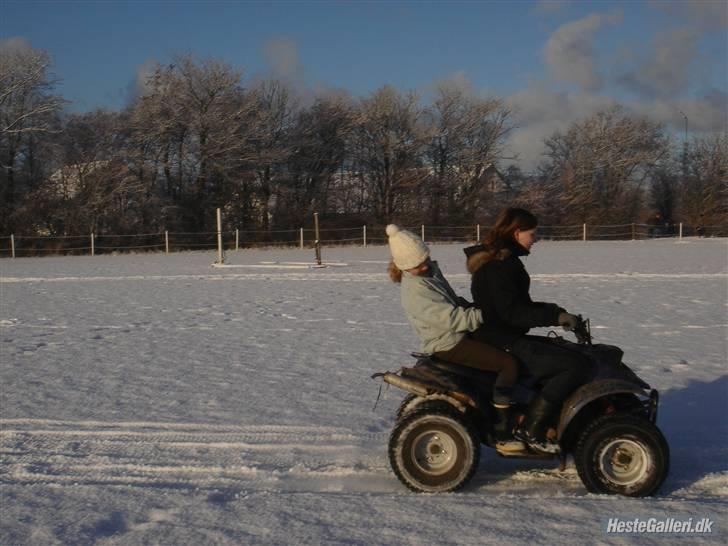 Mega sjove vinter billeder - FOTO: Celina billede 2