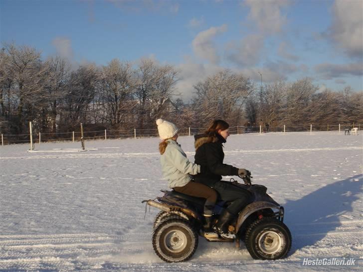 Mega sjove vinter billeder - FOTO: Celina billede 3
