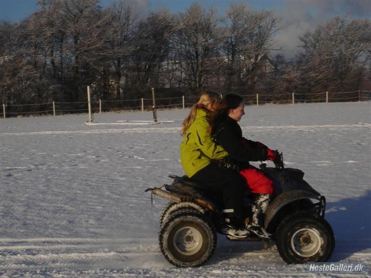 Mega sjove vinter billeder - FOTO: Celina billede 4