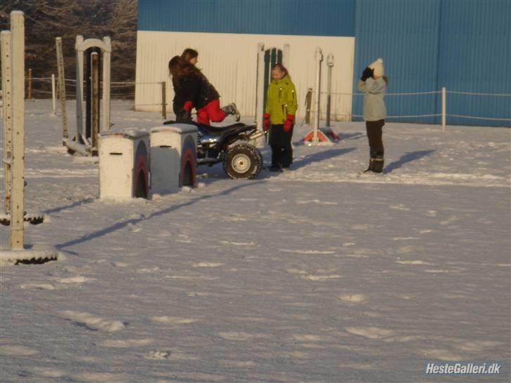 Mega sjove vinter billeder - FOTO: Celina billede 5