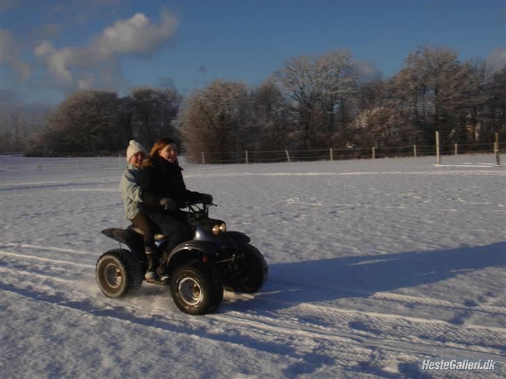 Mega sjove vinter billeder - FOTO: Celina billede 6