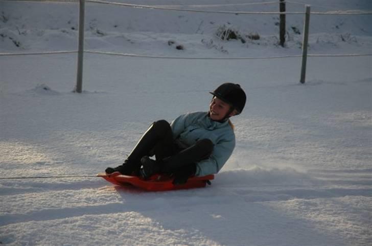 Mega sjove vinter billeder - Foto: Erik Simonsen billede 1