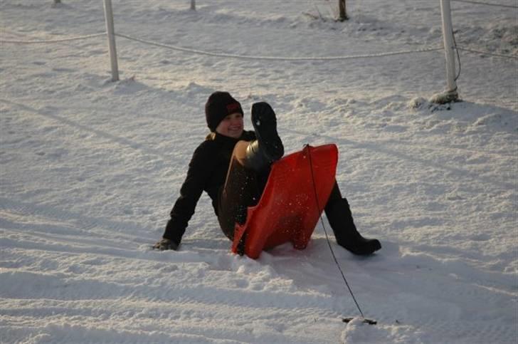 Mega sjove vinter billeder - Foto: Erik Simonsen billede 7