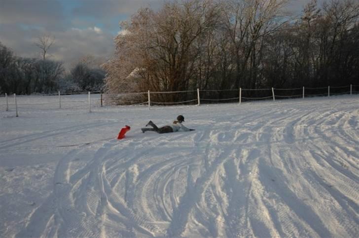 Mega sjove vinter billeder - Foto: Erik Simonsen billede 8