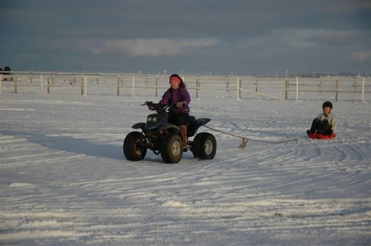 Mega sjove vinter billeder - Foto: Erik Simonsen billede 9