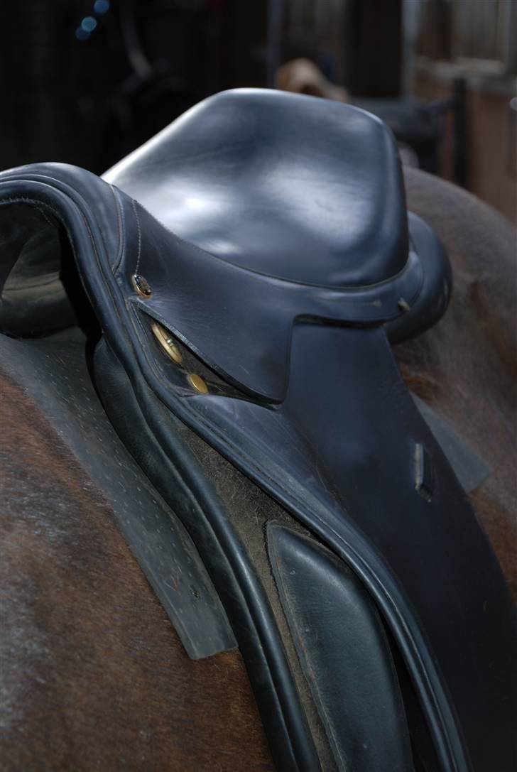 Camillas Fashion...  - Min Tölthestar sadel som jeg købte i 2008. billede 2