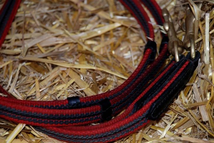 Camillas Fashion...  - Min Røde Fákur tøjle. 
Kan købes her 
http://Fakur-design.dk
http://Islandshesten.dk billede 3