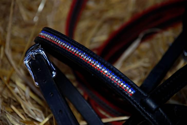 Camillas Fashion...  - Mit Fákur kombinerede Næsebånd med De islandske farver.
Kan købes her
http://Fakur-design.dk
http://Islandshesten.dk billede 4