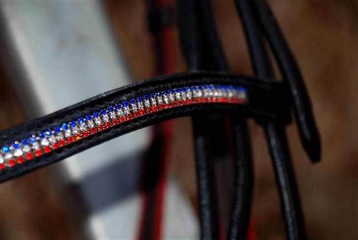 Camillas Fashion...  - Mit Fákur Pandebånd/nakkestykke med Swung og i de islandske farver
Kan købes her
http://Fakur-design.dk
http://Islandshesten.dk billede 5