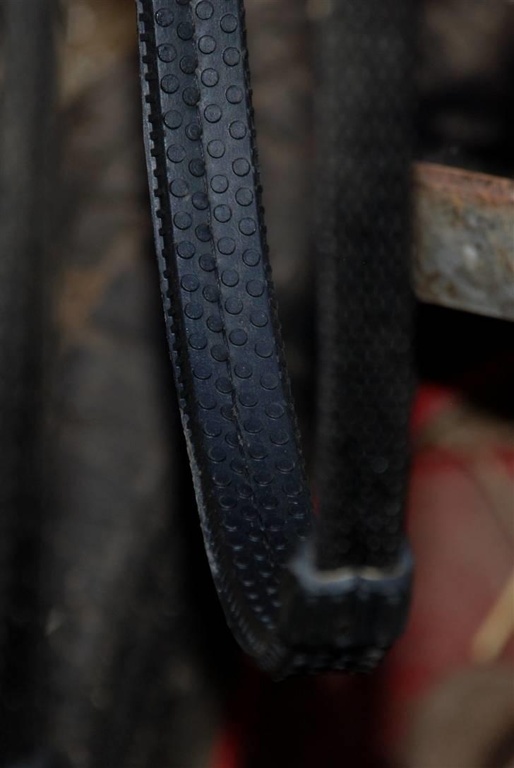 Camillas Fashion...  - Min Draupnir tøjle - den er fantastisk! Rider helst ikke med andet, billede 6