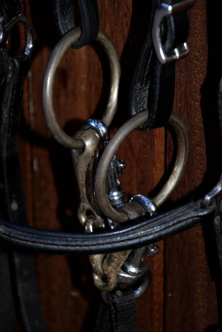 Camillas Fashion...  - Min Fákur trense som vist desværre ikke fåes mere :/ Det er ellers min YNDLINGS trense over dem alle.
Mit tre-delte messingbid. billede 7