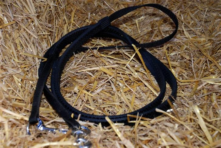 Camillas Fashion...  - Min Draupnir tøjle igen billede 8