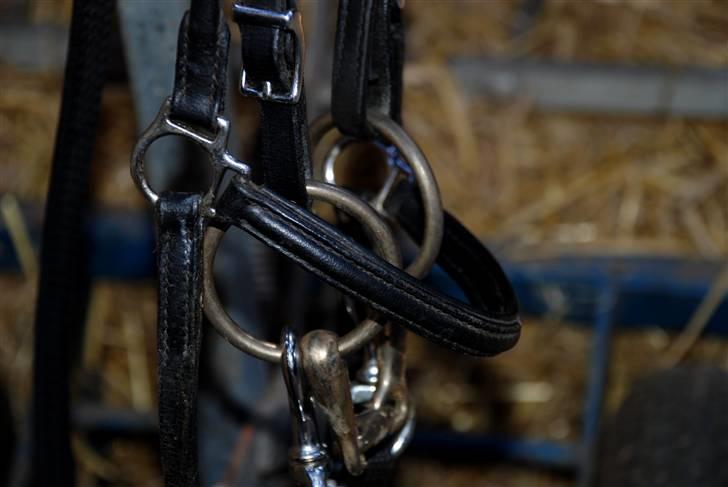 Camillas Fashion...  - Min Fákur trense som vist desværre ikke fåes mere :/ Det er ellers min YNDLINGS trense over dem alle.
Mit tre-delte Messingbid billede 9