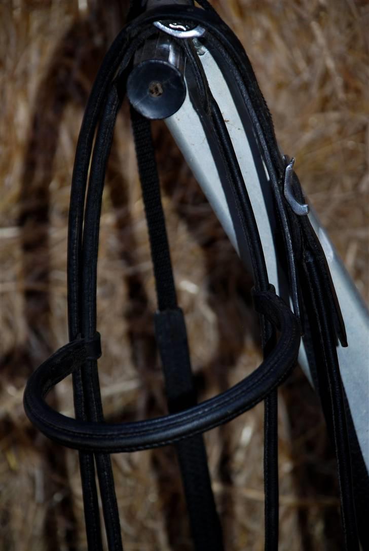 Camillas Fashion...  - Min Fákur trense som vist desværre ikke fåes mere :/ Det er ellers min YNDLINGS trense over dem alle. billede 10