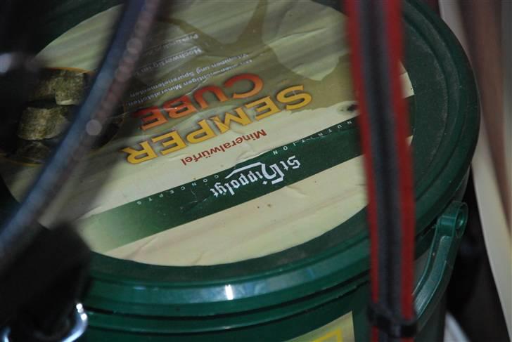 Camillas Fashion...  billede 28