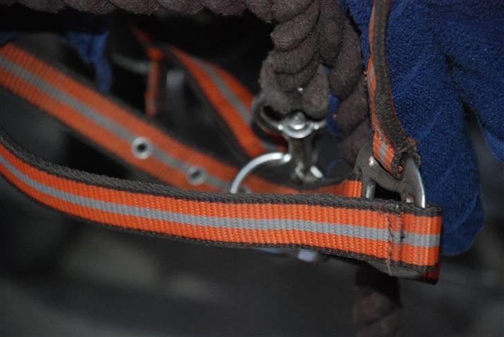 Camillas Fashion...  - En grime jeg fik med fra Hööks engang. xD 
Den er lidt vild, men egentlig fed nok.. billede 32