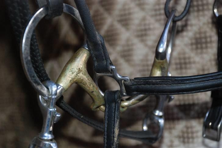 Camillas Fashion...  - Mit Herman Sprenger bid.
Bruger det egentlig ikke voldsomt meget, da hun går bedst på mit to-delte. billede 35