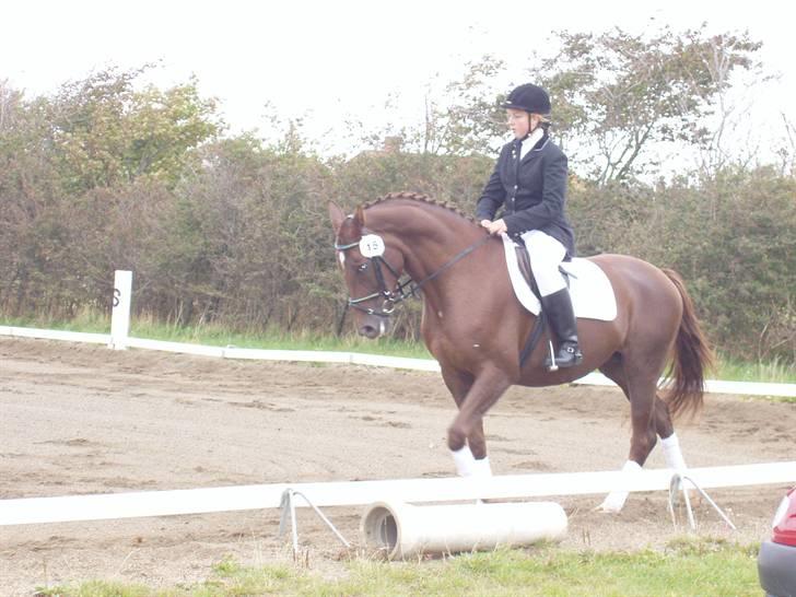 Åsteds Alex-sandra Red Fern & Madame Red Fern - Åse og mig til stævne i NTR september 2005 billede 4