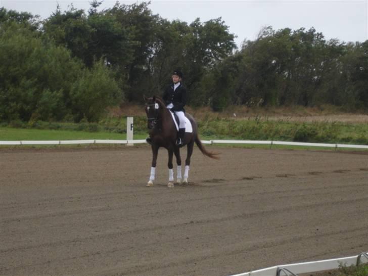 Åsteds Alex-sandra Red Fern & Madame Red Fern - Åse og mig til stævne i NTR september 2005 billede 5