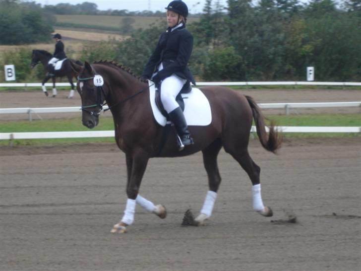 Åsteds Alex-sandra Red Fern & Madame Red Fern - Åse og mig til stævne i NTR september 2005 billede 6