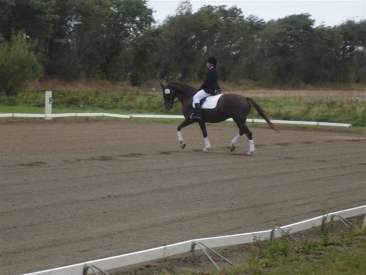 Åsteds Alex-sandra Red Fern & Madame Red Fern - Åse og mig til stævne i NTR september 2005 billede 7