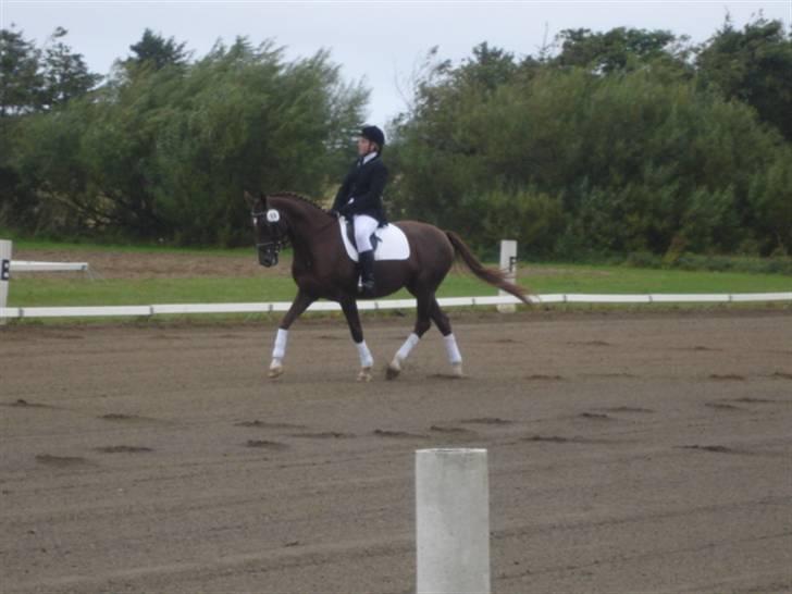 Åsteds Alex-sandra Red Fern & Madame Red Fern - Åse og mig til stævne i NTR september 2005 billede 8