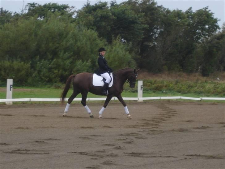 Åsteds Alex-sandra Red Fern & Madame Red Fern - Åse og mig til stævne i NTR september 2005 billede 9