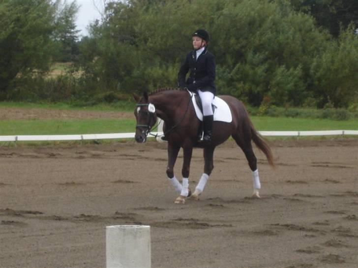 Åsteds Alex-sandra Red Fern & Madame Red Fern - Åse og mig til stævne i NTR september 2005 billede 11