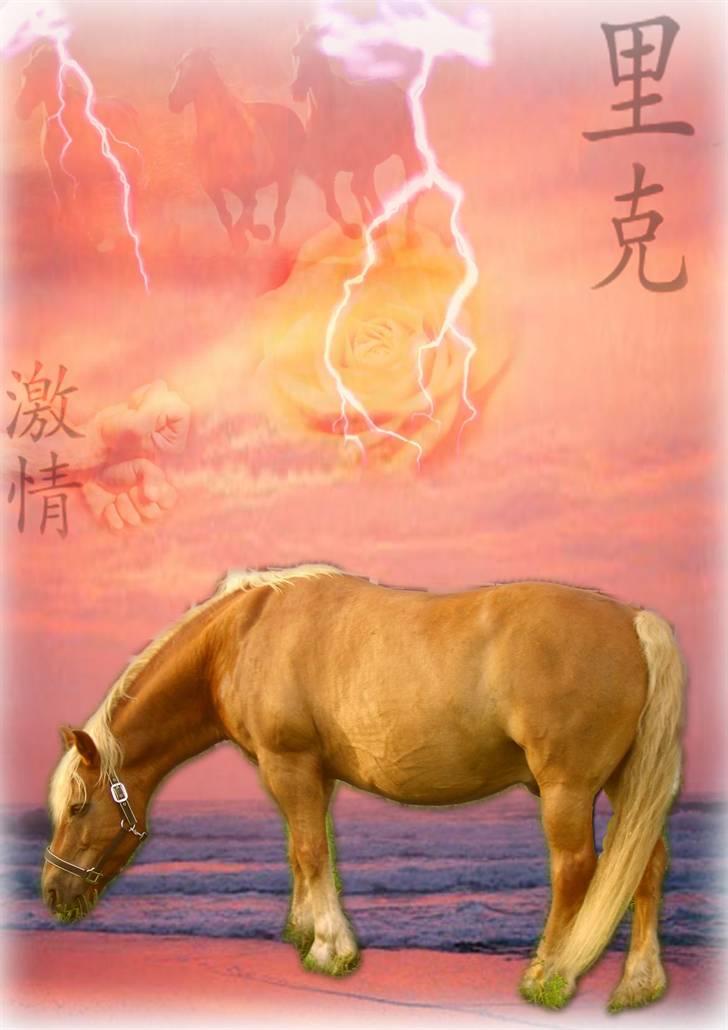 Collage -billeder af Sabrina Larsen - Rico <3 <3 <3 billede 2